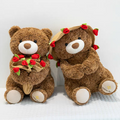 Rose Bouquet Couple Brown  Bear Plush Set